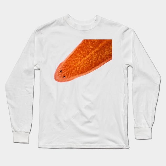 Planaria worm under the microscope Long Sleeve T-Shirt by SDym Photography